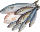 Иная продукция